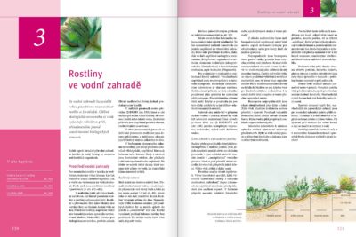 Praktická zahrada - Image 6