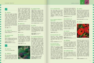 Praktická zahrada - Image 8