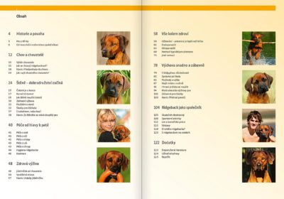 Rhodéský ridgeback - Image 2