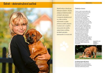 Rhodéský ridgeback - Image 3