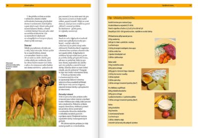 Rhodéský ridgeback - Image 6