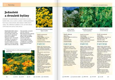 Bylinky - Image 7