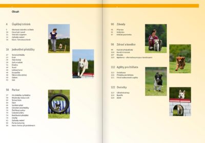 Agility - Image 2