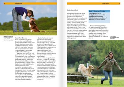 Agility - Image 3