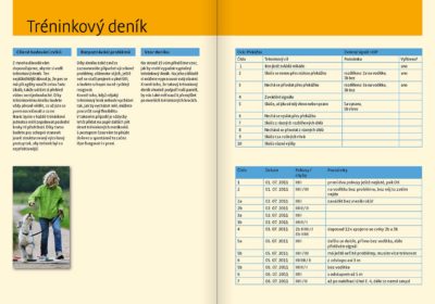 Agility - Image 4