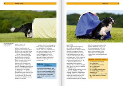 Agility - Image 5