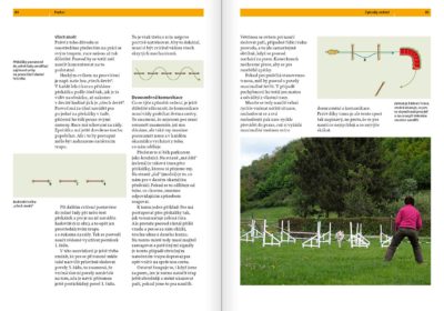 Agility - Image 6