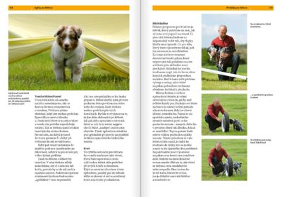 Agility - Image 7