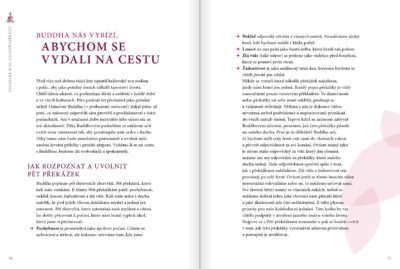 Buddha – Cesta ke štěstí - Image 4