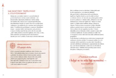 Buddha – Cesta ke štěstí - Image 7
