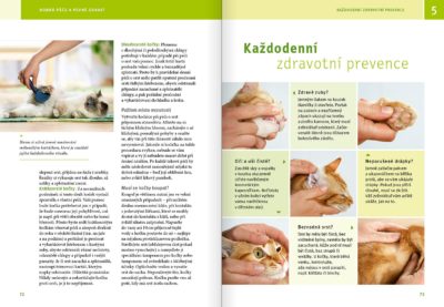 Kočka - Image 7