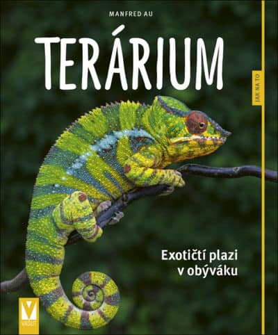 Terárium