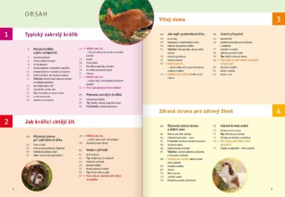 Zakrslý králík - Image 2