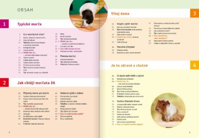 SLEVA - Morče - Image 2