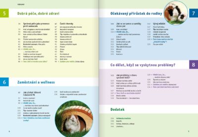 SLEVA - Morče - Image 3