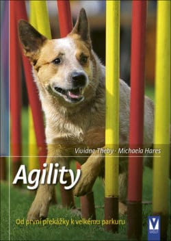 SLEVA - Agility