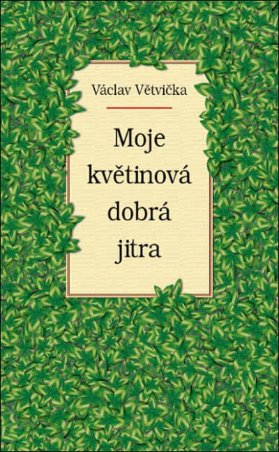 Moje květinová dobrá jitra