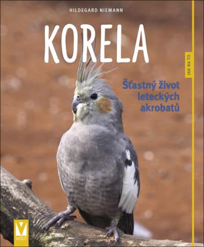 Korela
