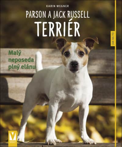 Parson a Jack Russell teriér