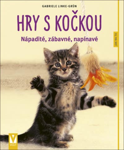 Hry s kočkou – nápadité, zábavné, napínavé