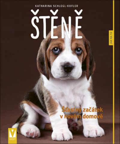 Štěně