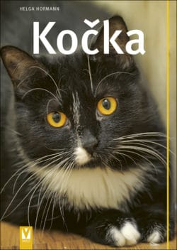 SLEVA - Kočka