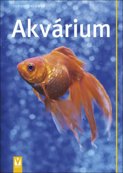 Akvárium