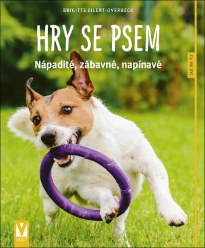 Hry se psem – nápadité, legrační, napínavé
