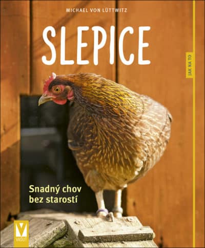 Slepice – snadný chov bez starostí