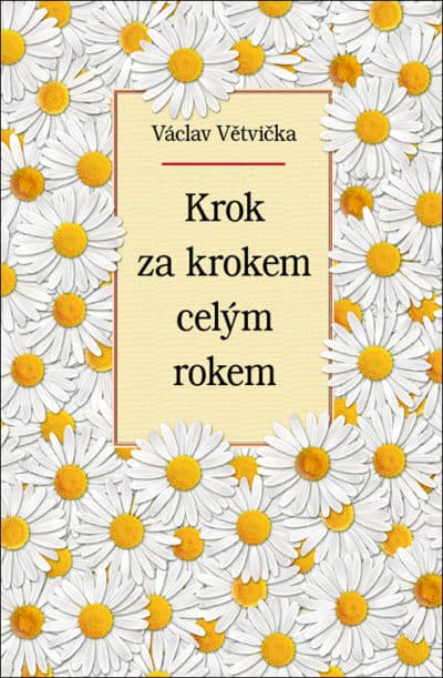 Krok za krokem celým rokem