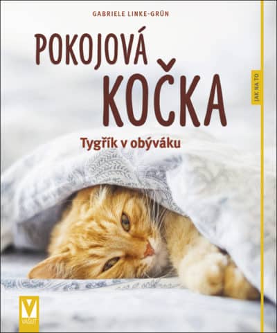 Pokojová kočka