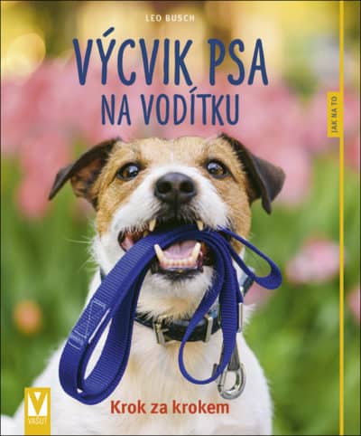 Výcvik psa na vodítku