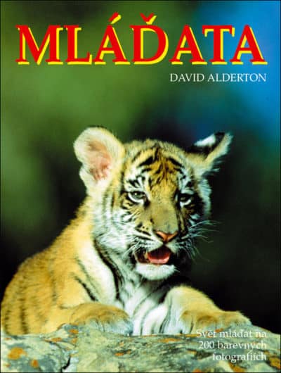 SLEVA - Mláďata