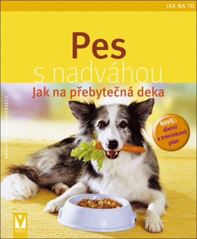 SLEVA - Pes s nadváhou