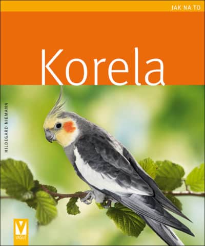 SLEVA - Korela