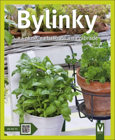 Bylinky – na okně, na balkoně a na zahradě