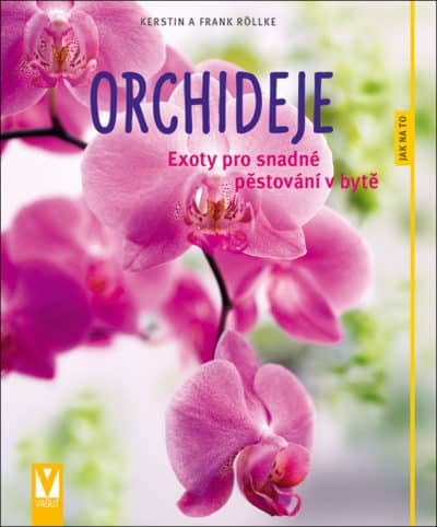 Orchideje – exoty pro snadné pěstování v bytě