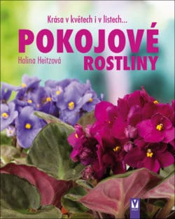 SLEVA - Pokojové rostliny