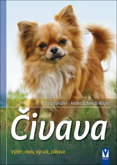 Čivava