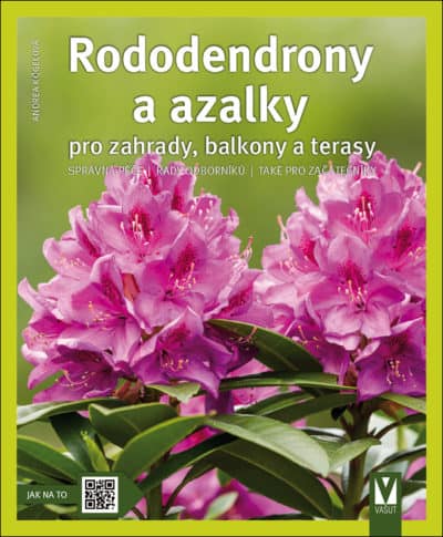 Rododendrony a azalky – pro zahrady, balkony a terasy