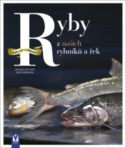 SLEVA - Ryby z našich rybníků a řek