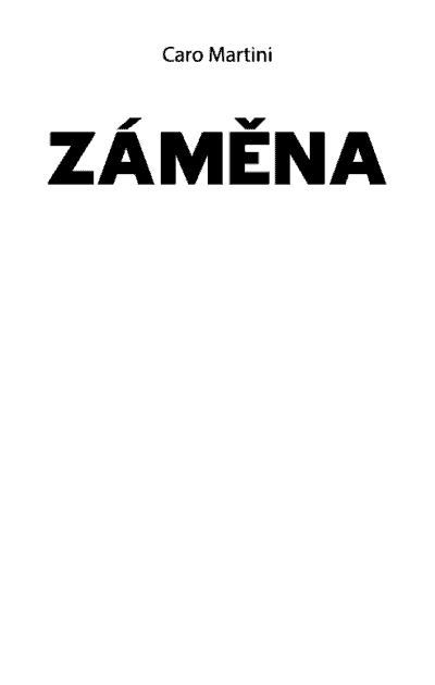 Záměna - Image 2