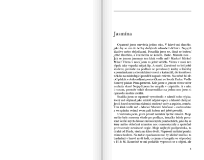 Záměna - Image 3