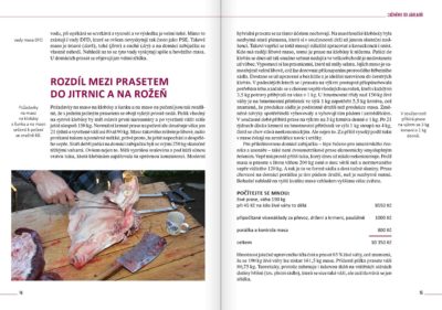 Domácí zabijačka – klobásy, šunka, pečeně, huspenina - Image 3