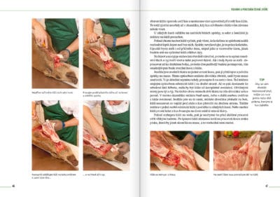 Domácí zpracování zvěřiny – výbava, bourání, recepty - Image 5