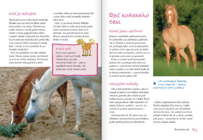 Jezdectví – můj koníček - Image 4