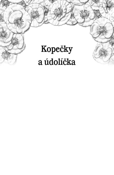 Moje prosluněná dobrá jitra - Image 3