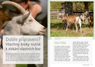 Chováme kozy – chytré hlavičky v zájmovém chovu - Image 5