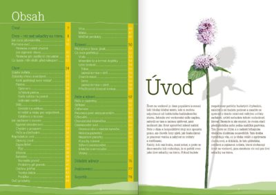 Chováme ovce – ideální zvířata k domu a na dvůr - Image 2