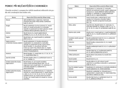 Léčivá moc dotyků – akupresura chodidel * masáž shiatsu * jiné formy masáže - Image 7